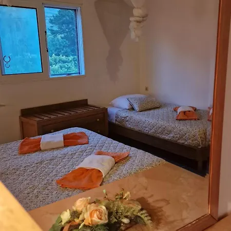 度假居 Corfu Sea Front Apartment, The Nest *